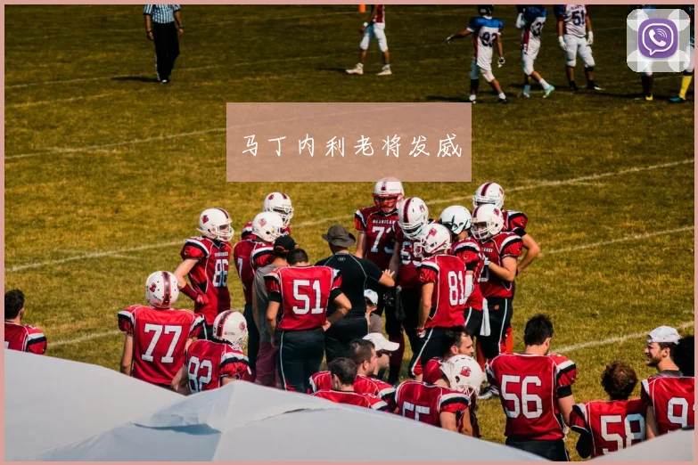 马丁内利老将发威