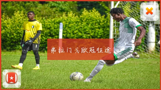 弗拉门戈欧冠征途