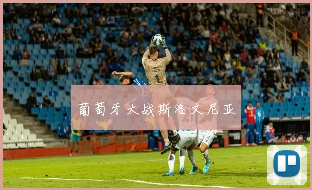 葡萄牙大战斯洛文尼亚