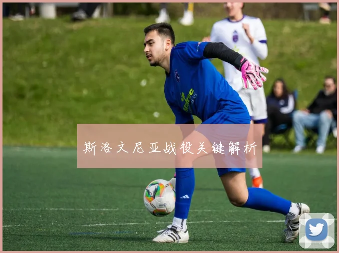 斯洛文尼亚战役关键解析