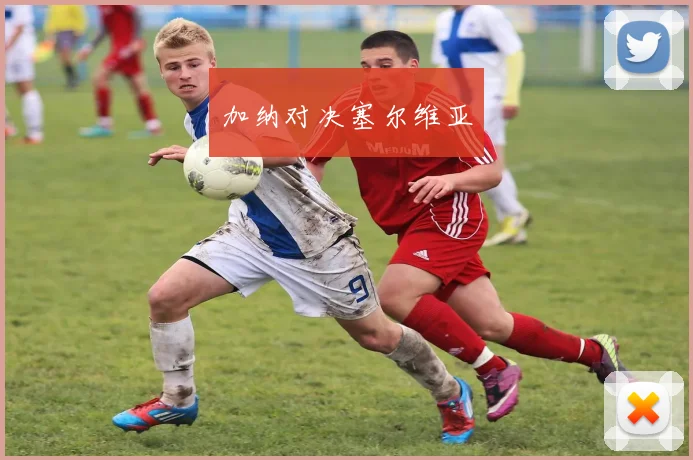 加纳对决塞尔维亚