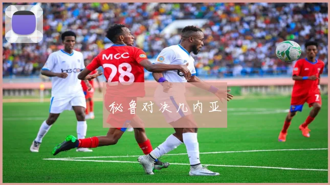 秘鲁对决几内亚