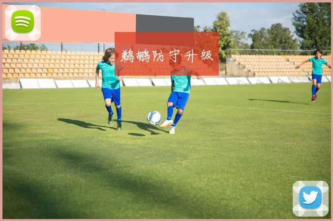 鹈鹕防守升级