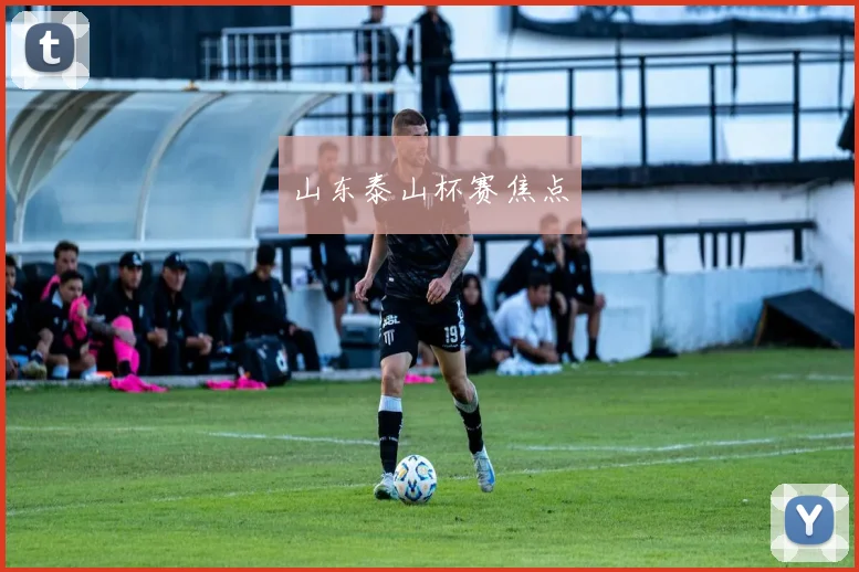 山东泰山杯赛焦点