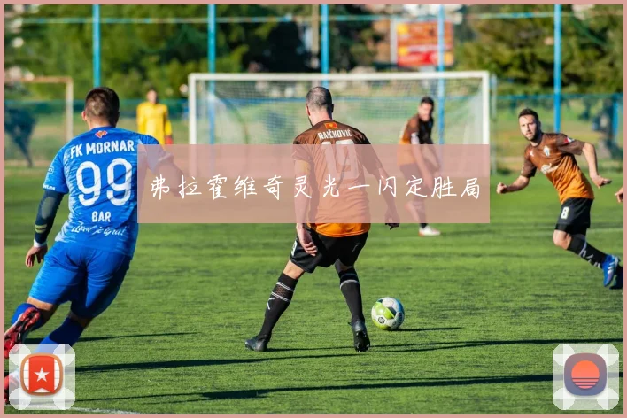 弗拉霍维奇灵光一闪定胜局