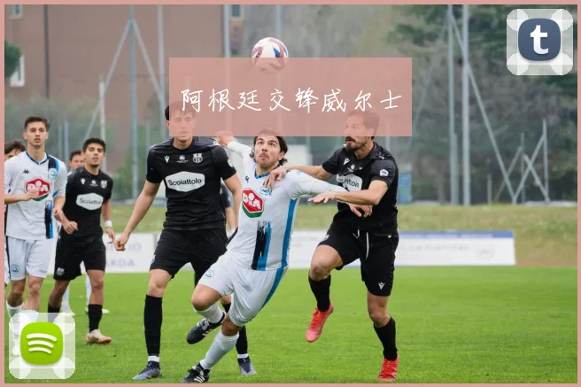 阿根廷交锋威尔士