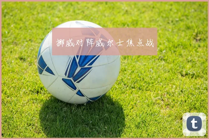 挪威对阵威尔士焦点战
