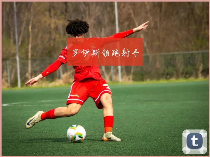 罗伊斯领跑射手