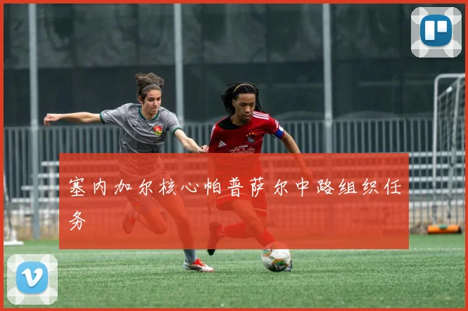 塞内加尔核心帕普萨尔中路组织任务