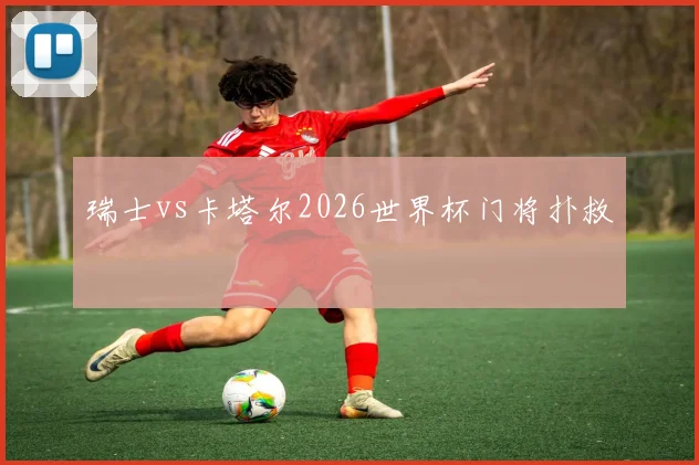 瑞士vs卡塔尔2026世界杯门将扑救