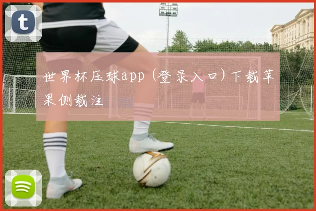 世界杯压球app (登录入口)下载苹果侧载注