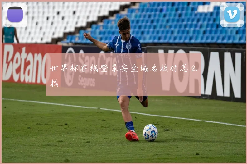 世界杯在线登录安全域名核对怎么找