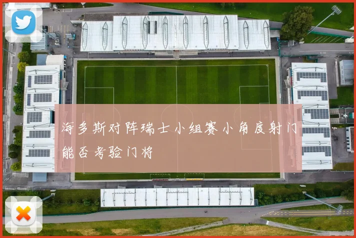 海多斯对阵瑞士小组赛小角度射门能否考验门将
