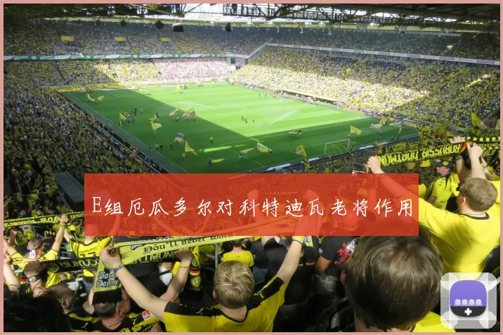E组厄瓜多尔对科特迪瓦老将作用