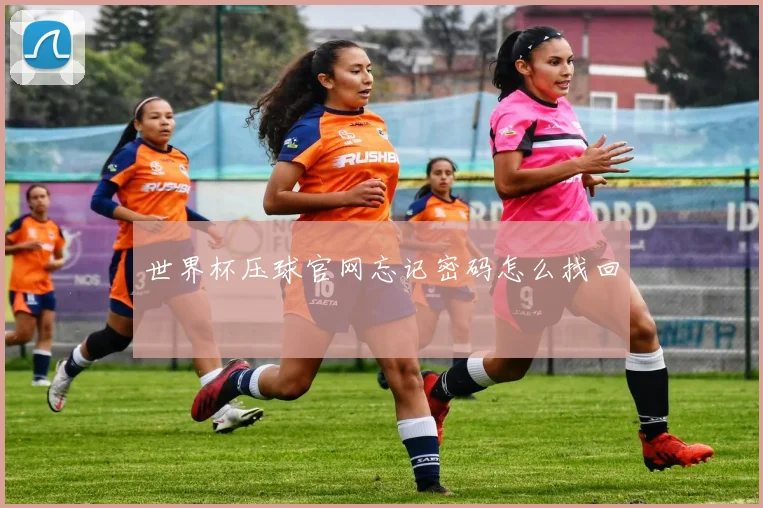 世界杯压球官网忘记密码怎么找回