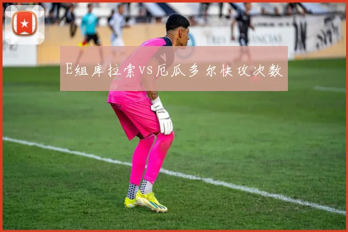 E组库拉索vs厄瓜多尔快攻次数